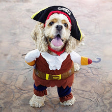 Load image into Gallery viewer, FUNNY CAT PIRATE COSTUME