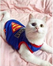 Load image into Gallery viewer, BREATHABLE SUPERMAN CAT VEST!